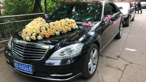 河南租車報價、廠家資源與二手車經(jīng)銷市場概覽